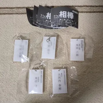 아이보 메지루시 참 5종 세트