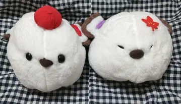 복복 시마에나 가을 컬러의 날