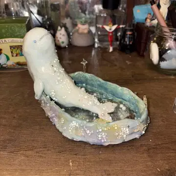 목욕탕에 잠긴 벨루가의 소품함.