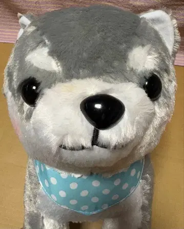 택 포함 새상품 콩 시바 삼형제 타이가 봉제 인형 개 약 36cm