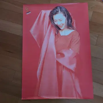 나카야마 미호 포스터 5