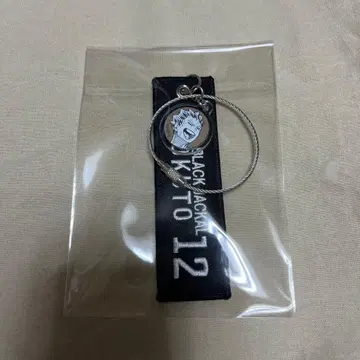 하이큐 V리그 크로스 키링 보쿠토 코타로 MSBY