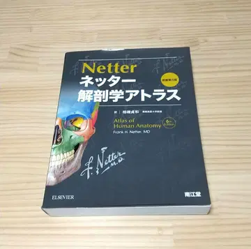 네터 해부학 아틀라스 원서 제6판 기입 없음
