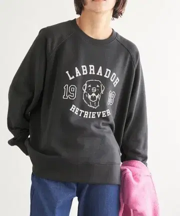 택 포함 새상품 Labrador Retriever 풀오버