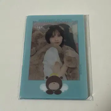 카토 시호 시스루 카드 컴플리트 세트