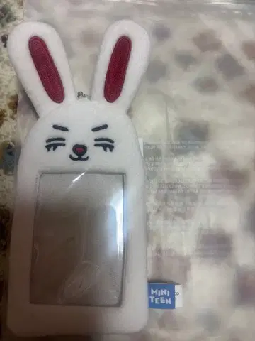 SEVENTEEN MINITEEN 에스쿱스 트레이딩 카드 케이스