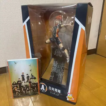 하이큐!! 1번 복권 A상 히나타 쇼요 덤 포함