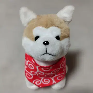 오리지널 아키타견 봉제 인형 오다테노시로 공항 아키타 공항 공동 프로듀스