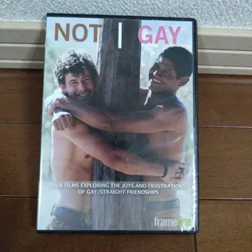 수입 DVD not gay