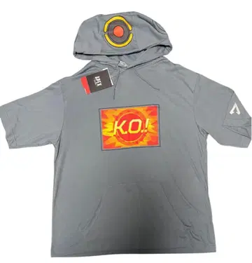 [ 새상품 ] APEX 패스파인더 반팔 후드티 LL 사이즈 블루 그레이