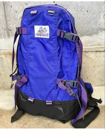 그레고리 보라색 택 퍼플 트림 데이앤하프