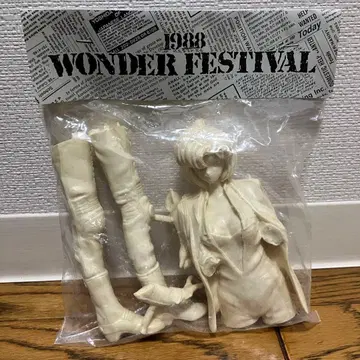 카이요도 츠지모토 나츠미 [경찰청 24시] 1/6 레진 키트