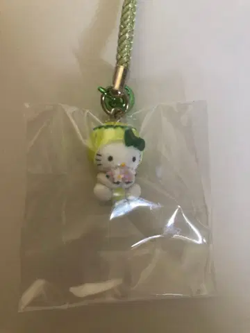 지역 한정 키티 스트랩 신슈 한정 카미코치 꽃