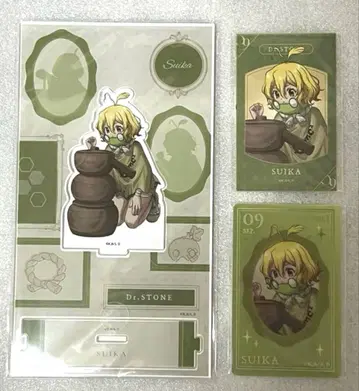 Dr.STONE 로프트 수박