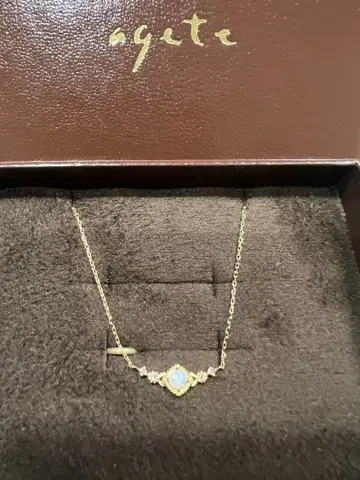 가느다란 목걸이 agete