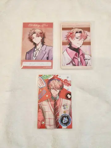 세라프 대즐 가든 폴라로이드