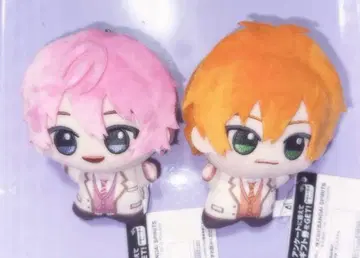 스토푸리 SD 인형 사토미군 젤군 2점 세트