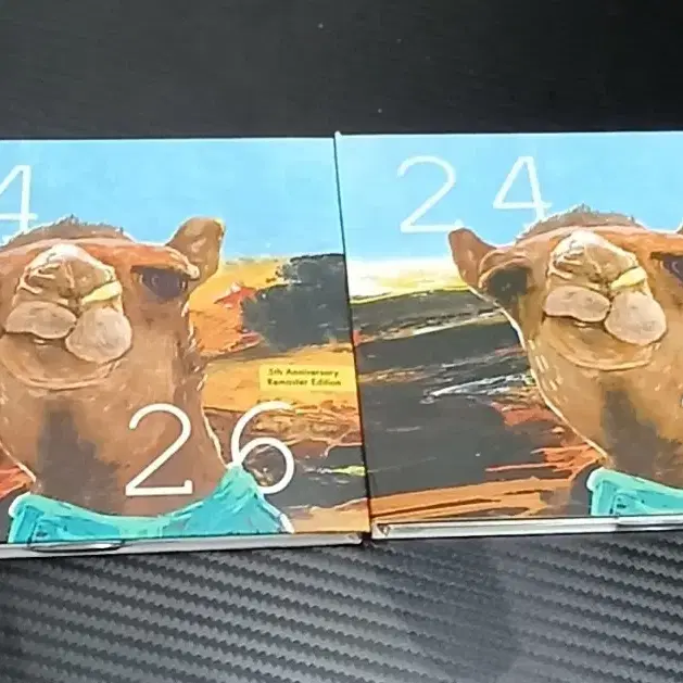 빈지노 24 26 앨범