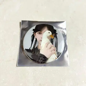 노기자카46 이케다 에레나 개인전 Wings 오리의 꿈 캔뱃지