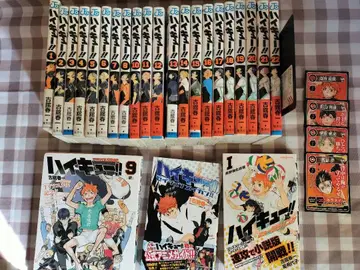 하이큐!! (1-22권), 애니메이션 공식 가이드북, 소설판 1권 세트