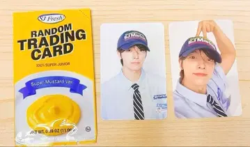 SJ MARKET 랜덤 포토카드 [ 동해 ]