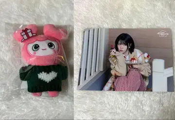 TWICE 모모 BABY LOVELYS 백참 & 랜덤 트레이딩 카드