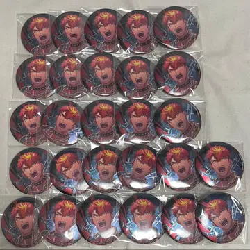 파라라이 료가 정리