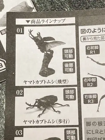 생물대도감 미니 컬렉션 곤충01 장수풍뎅이 2종 세트