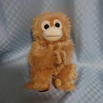 BabyCoco&Natsu 봉제 인형 베이비 코코 & 너트