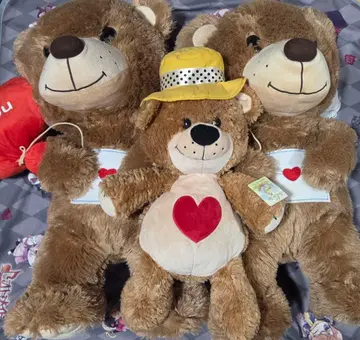 빅 봉제 인형 곰 스지즈 등 3세트