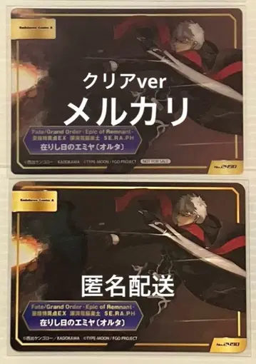 FGO TYPE-MOON 페어 지나간 날의 에미야 (알타)