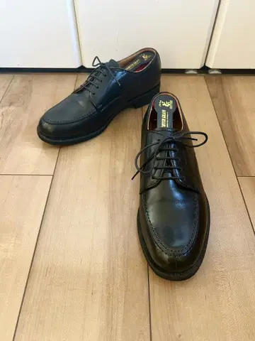 [ 컨디션 최상 ] REGALWalker 리갈워커 U칩 25cm