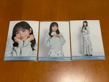 이치노세 미쿠 노기자카46 브로마이드 카라 부착 코디 3종 컴프