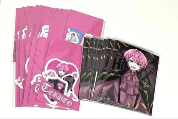 기사X knightX 브로마이드 스티커 세트 (테루토군)