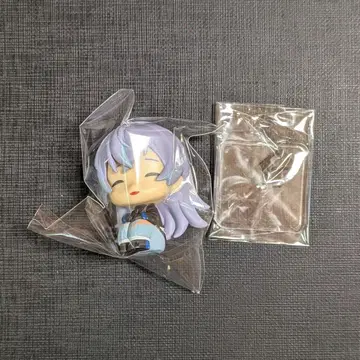 호시미치 쇼 니지코토