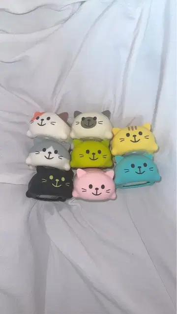 도레미파 캣 8세트