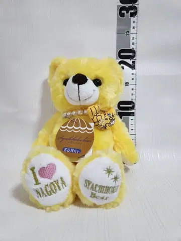 [단종] 고토치베어 나고야 샤치호코베어