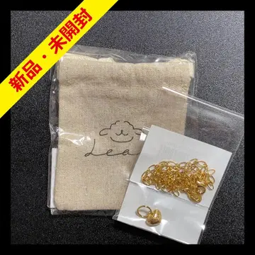 사카이 히토카 Leoh necklace & charm set (gold)