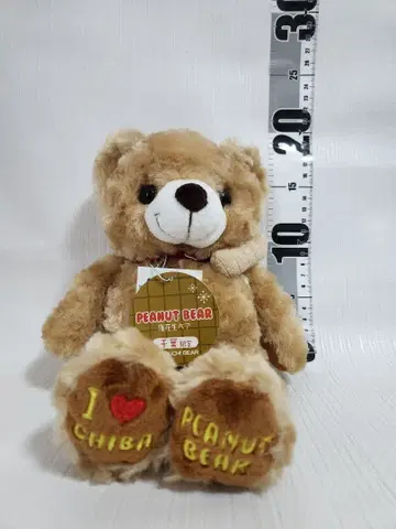 [단종] 고토치베어 치바 땅콩베어