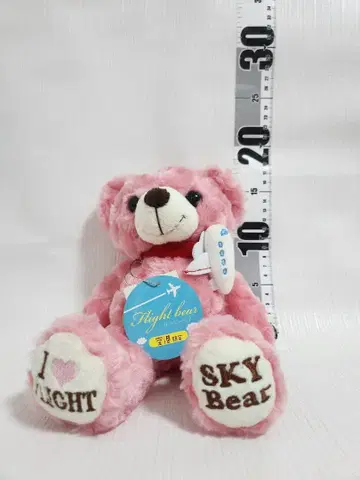 [ 단종 ] 고토치 베어 (2개) 플라이트 베어