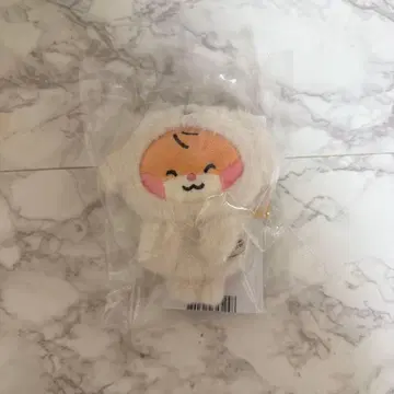 zb1 popup zeroni 비니니 마그넷 홀더