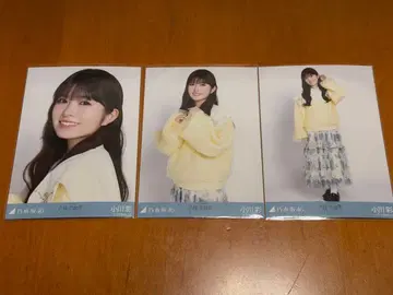 오가와 아야 노기자카46 브로마이드 카라 부착 코디 3종 컴프