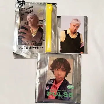 FTISLAND 홍기 트레이딩 카드 파우치 경질 카드 케이스 랜덤