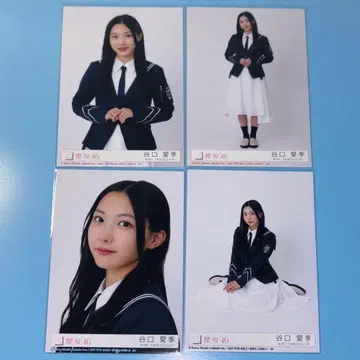 사쿠라자카46 사쿠라즈키 봉입 타니구치 아이리 컴프