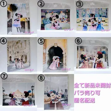 도쿄 디즈니 리조트 이매지닝 더 매직 사진 미키 미니 데이지