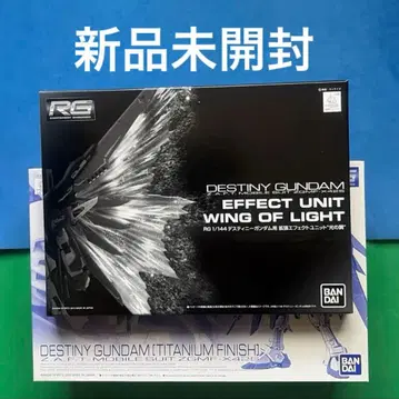 RG 1/144 데스티니 건담 + [티타늄 피니쉬] 빛의 날개 세트