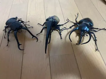 생물대도감 어드밴스 헤라클레스 코카서스 기라파노코기리사슴벌레