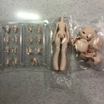 상자 속 시 무증상 소체 미도색 페이스