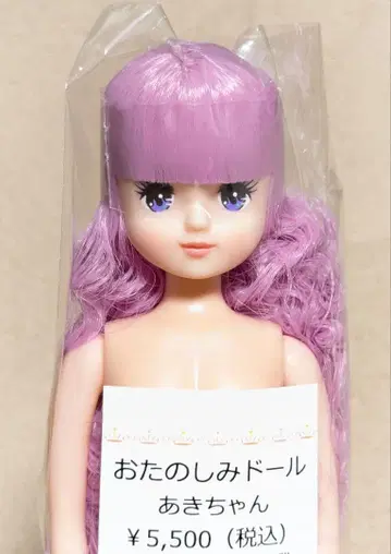 즐거운 인형 아키짱 리카짱 캐슬