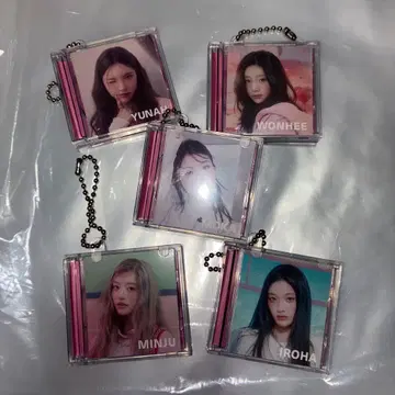 ILLIT 미니 CD 컬렉션 5세트